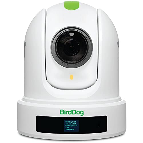BirdDog P120 PTZ Kamera 1080P mit 20x Zoom, OLED Screen