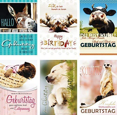 100 Glückwunschkarten zum Geburtstag Tiere 51-5402 Geburtstagskarte Grußkarten