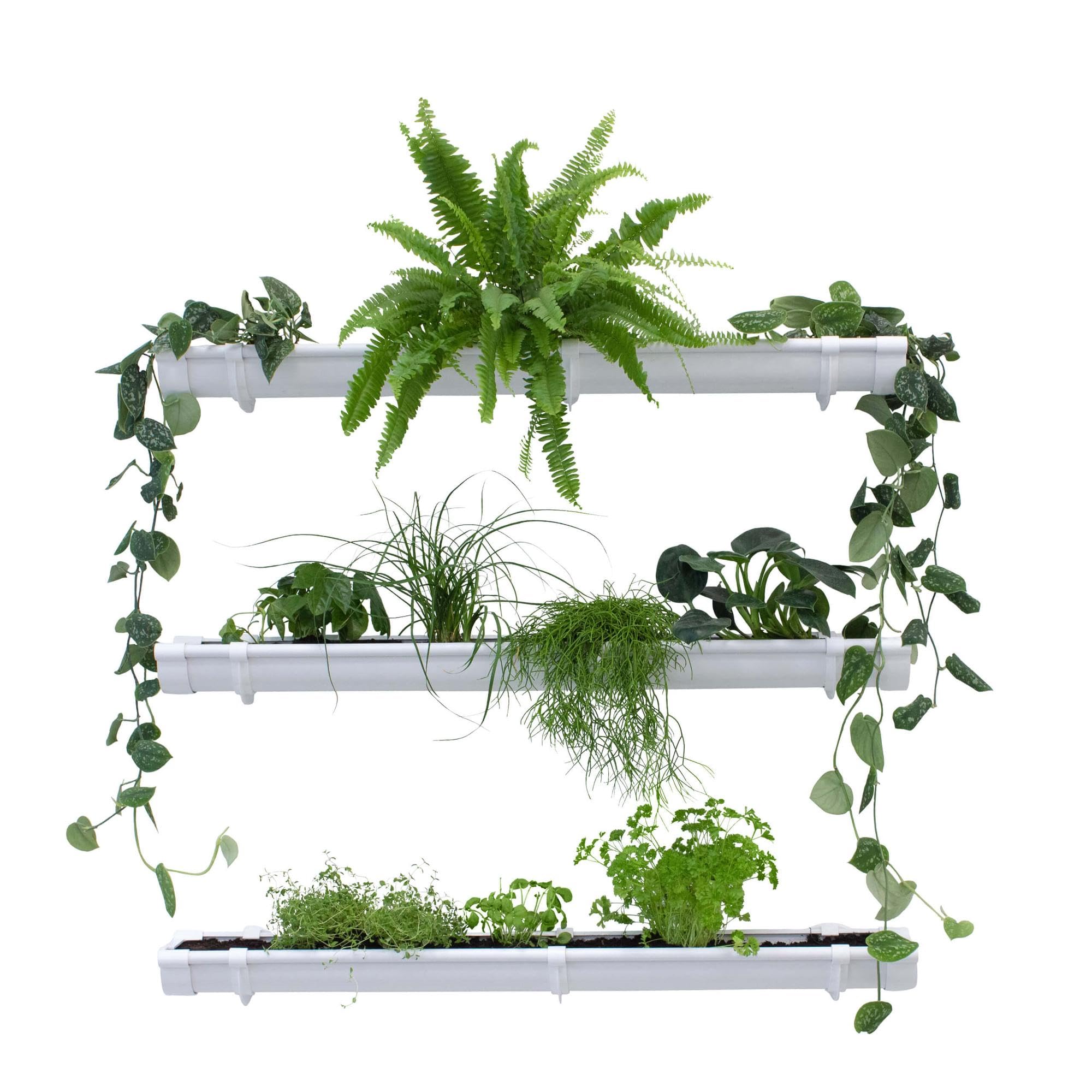 Grüne Pflanzenwand, Vertikaler Garten 3 x 1m Weiß, Platzsparende Gartengestaltung, Pflanzenregal für Innen und Außen