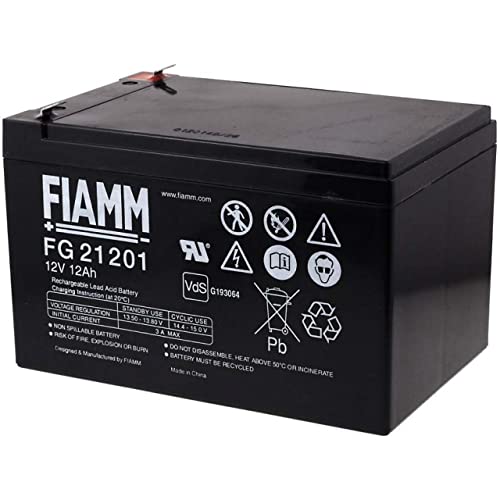 Fiamm Bleiakku FG21201 VDs, 12V, Lead-Acid