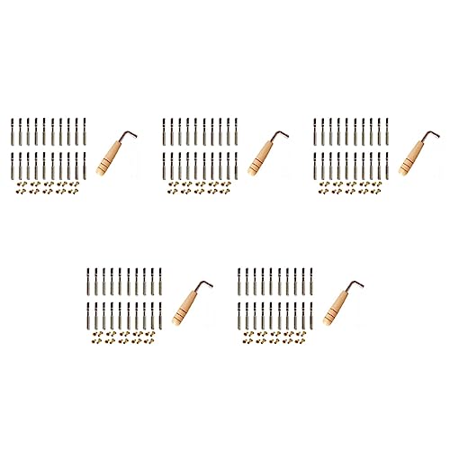 Yangyou 100 Teilige Stimm Nägel und 100 Teilige Nieten mit L-Förmigem Stimm Schlüssel für Lyre Harfe Kleine Harfe Musical Saiten Instrument