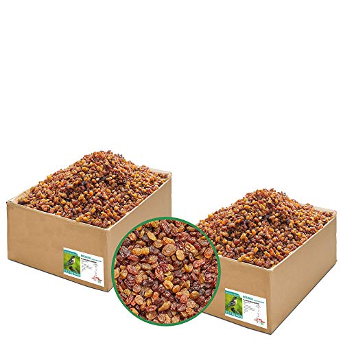 Paul´s Mühle Rosinen, ungeschwefelt in Speisequalität, Wildvogelfutter für Insekten- und Früchtefresser, 25 kg (2 x 12,5 kg)