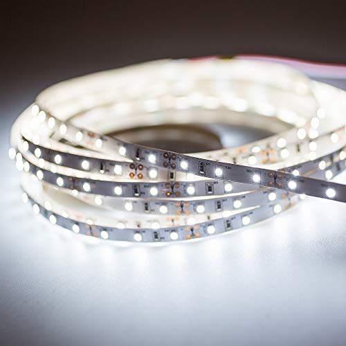 Mextronic LED Streifen LED Band LED Strip 3528 Kaltweiß (6000k) 24W 500CM 24V IP20