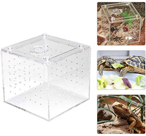 HEEPDD Acrylic Reptile Breeding Box Transparente Aufbewahrungsbox für Lebendfutter Insekten für Spinnengrillen Schnecken Einsiedlerkrebse Vogelspinnen Geckos 3.9x3.9x3.5inch