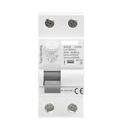 Leistungsschalter Gyl9 ac-s Tap Time Delay RCD RCCB ELCB Elektromagnetischer Leistungsschalter mit Verzögerung (Color : 300ma, Size : AC-S 2P 40A)