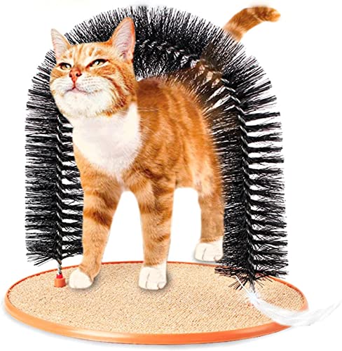 MISETA Katzen-/Kätzchen-Massage- und Kratzbogen, selbstpflegend, mit weichen, bequemen Borsten