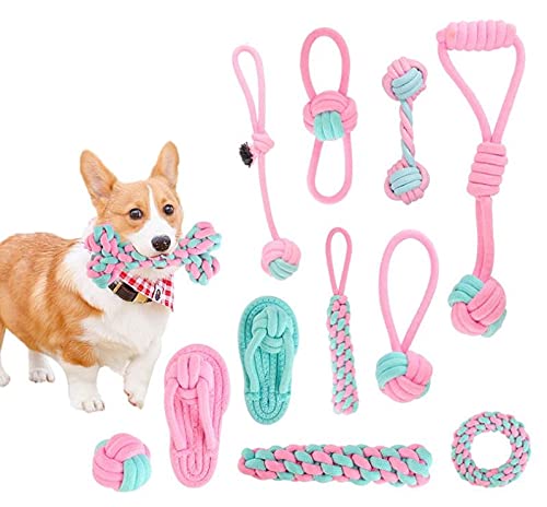 Hundespielzeug, Spielzeug für Hunde, Kauspielzeug für Hunde, interaktives Spielzeug für kleine / mittelgroße Hunde, 12 Stück