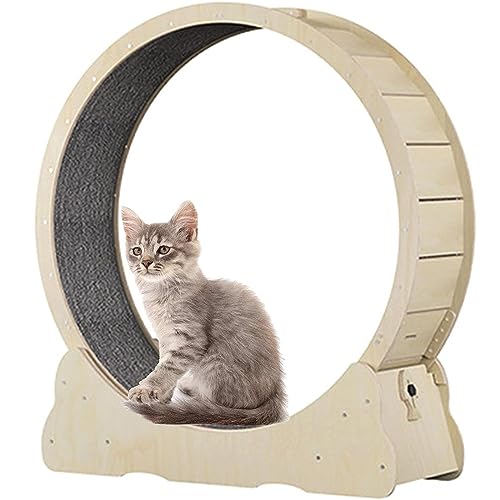 Cat Exercise Wheel Indoor Treadmill Small Animals Exercise Wheels,Für Drinnen Katzen,Sicherheits Katzen Laufrad Mit Schloss Und Minimiertem Spaltdesign,Woodcolor-L
