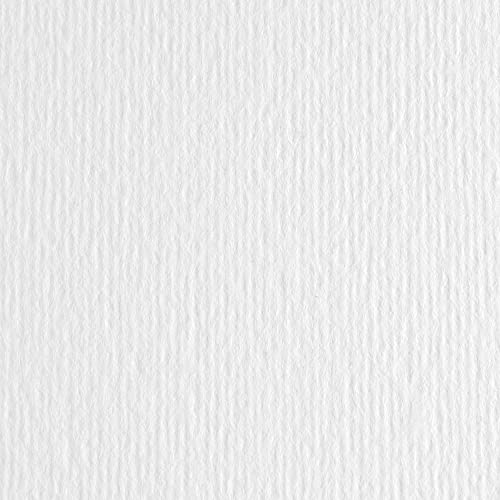 Pappe, 10 Blatt, 70 x 100, 220 g, weiß, 100 Fabriano Elle Erre [46470100]