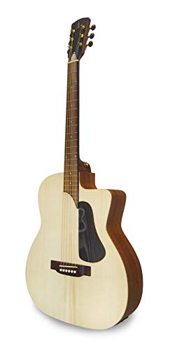APC Instruments GA100 MX CW Akustische Gitarre