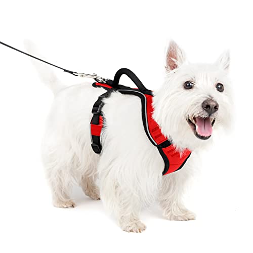 PetSafe EasySport Hundegeschirr, Komplett gepolstert mit elastischem Halsteil, Für Hunde von 9-16,5 kg, Größe S, Rot