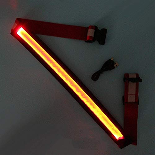 ZANGAO LED Kummet Bridle Halter Multifunktions Visibility Polyester Nachtreiten REIT Sicherheits-Gang mit USB-Lade (Color : Red)