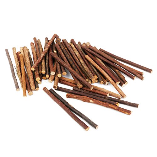 ultnice Holz Log Sticks Ast natürlichem Holz Sticks für DIY Handwerk Foto Requisiten 5–8 mm in Durchmesser 100 Stück