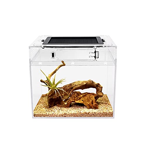 Mini-Reptilien-Terrarium, 20,3 x 20,3 x 20,3 cm, Mini-Reptilienbecken mit voller Sicht, visuell ansprechend, explosionsgeschütztes Glas, für Reptilien und Amphibien