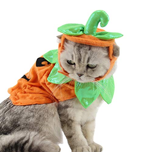 POPETPOP Halloween-Katzen-Kostüm Anzüge Kleidung Hüte Kleid Stirnbänder Festival Kürbis Kostüm für Hunde und Katzen
