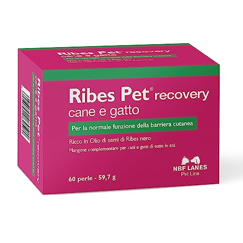 NBF Lanes | Johannisbeere Pet Recovery Hund und Katze, 60 Perlen, für normale Hautbarriere-Funktion