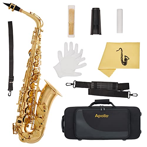 Apollo Altsaxophon in Goldlack mit Lederpads, komplett mit Etui und Zubehör