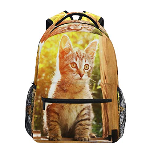 Rucksack mit niedlichem Katzenmotiv, für die Schule, für Teenager, Jungen, Mädchen, Kinder, Tagesrucksack, Rucksack für Reisen, Camping, Fitnessstudio, Wandern