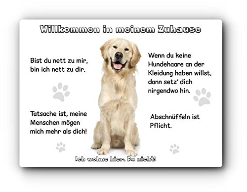 Merchandise for Fans Blechschild/Warnschild/Fun Türschild 30x40cm - Willkommen in Meinem Zuhause - Motiv: Golden Retriever/Labrador sitzend - 01