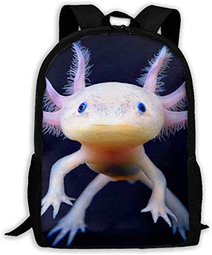 nbvncvbnbv mexikanisches Axolotl modische Outdoor-Schultertasche, langlebig, Reise-Camping für Kinder, Rucksäcke, Camping, Büchertasche