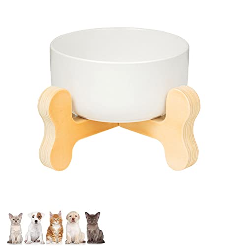 Koomiao Futternapf Katze mit Halter, Napf für Katzen und Hunde,Keramiknapf,Futterstation,Keramik Fressnapf Set,Fütterungsschalen für die meisten Katzen und kleine Hunde (Weiß)