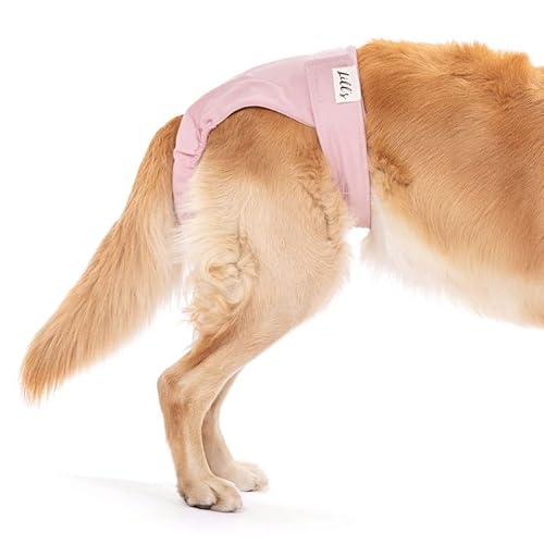 Läufigkeitshose für Hündinnen | waschbar | Bio-Baumwolle | Hundewindel für Hündinnen mit flexiblem Verschluss | keine extra Einlagen nötig (XXL 75-112cm Taillenumfang, Pink Berry (Rosa))