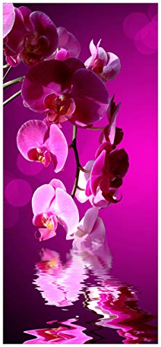 Wallario Selbstklebende Türtapete Rosafarbene Orchidee Blüten in pink - 93 x 205 cm in Premium-Qualität: Abwischbar, brillante Farben, rückstandsfrei zu entfernen