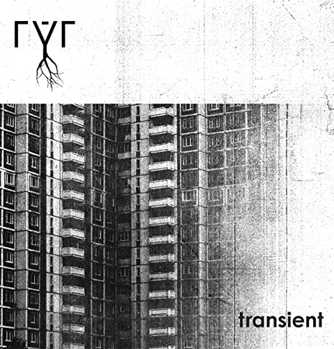 Transient [Vinyl LP]