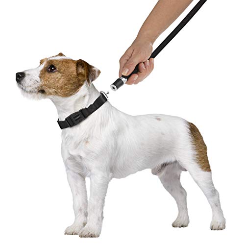 GOLEYGO Hundeleine & Halsband - Schwarz - Größe S-M | innovatives Magnet-Klick-System mit Kugelstift, unter Vollast lösbar | für Hunde bis max. 40 kg | Leinenlänge 120-200 cm