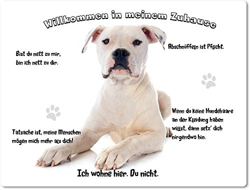 Merchandise for Fans Blechschild/Warnschild/Türschild - Aluminium - 30x40cm - - Willkommen in Meinem Zuhause - Motiv: American Bulldog - 01