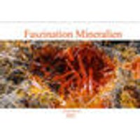 Faszination Mineralien (Wandkalender 2022 DIN A2 quer) [9783673615191]
