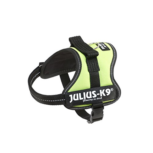 Julius-K9 Powergeschirr Gr.Mini-Mini (XS) neon