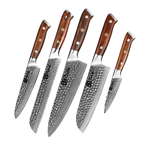 KENSAKI 5er Messerset aus Damaszener Stahl Küchenmesser Japanischer Art hergestellt aus 67 Lagen Damaststahl Gehämmert – Tetsu Serie