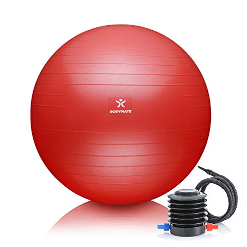 BODYMATE Gymnastikball Sitzball Trainingsball mit GRATIS E-Book inkl. Luft-Pumpe, Ball für Fitness, Yoga, Gymnastik, Core Training, für starken Rücken als Büro-Stuhl Pepper-RED 65cm