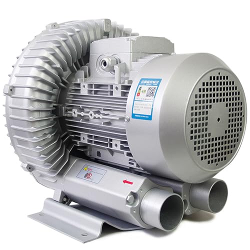 JINGEDD 120W-1100W Seitenkanalverdichter Regeneratives Gebläse Zum Luftblasen, Absaugen,Abwasser Belebungs,Einphasig Vortex-Gas-Pumpe, Fischteich-Ringgebläse,750W/1.01HP