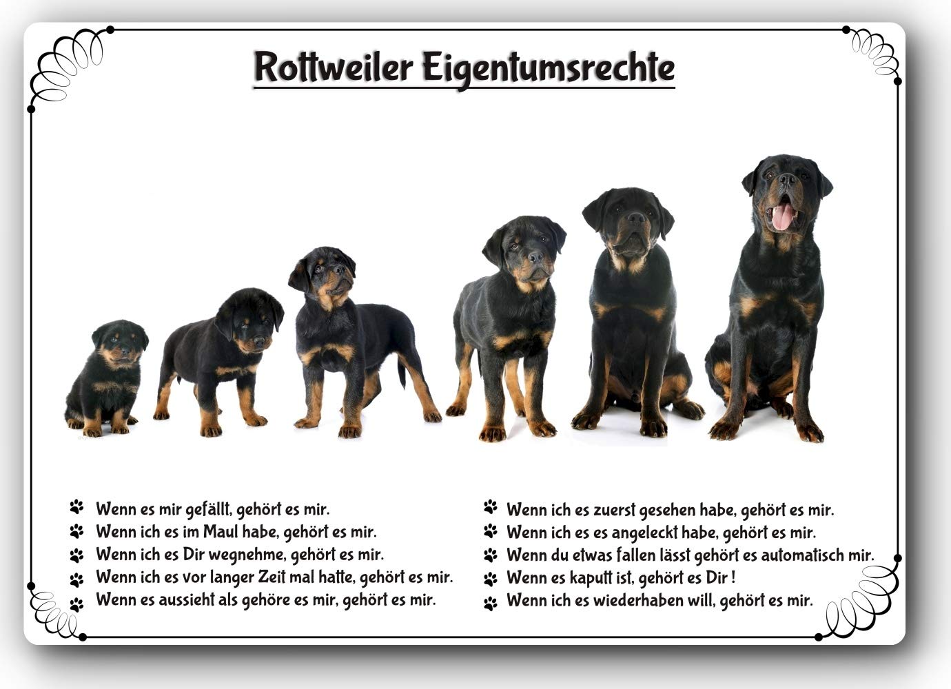 Blechschild / Warnschild / Türschild - Aluminium - 30x40cm "Eigentumsrechte" Motiv: Rottweiler (02)