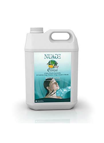 Camylle - Nuage - Emulsion von Ätherischen Ölen für Ultraschallvernebler - Elinya - Entschlackend - 5000ml