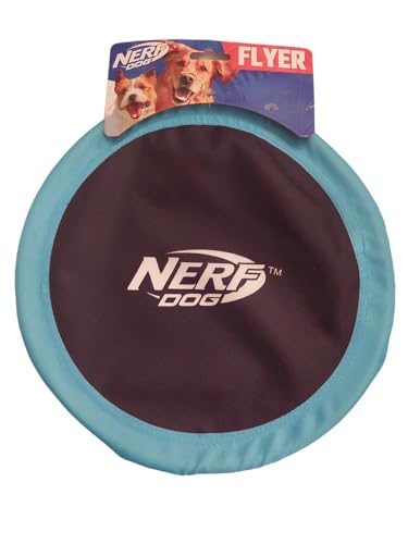 Nerf Dog Nylon Flyer Hundespielzeug, fliegende Scheibe, leicht, langlebig und wasserabweisend, ideal für Strand und Pool, 25,4 cm Durchmesser, für mittelgroße Rassen, Himmelblau und Schwarz