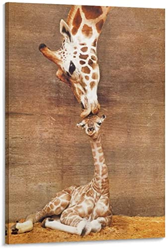 RuiChuangKeJi Wandbild 70x90cm Rahmenlos The First Kis-s Giraffen Poster Lustige Tiere Poster Dekorative Malerei Wohnzimmer Poster Schlafzimmer Malerei