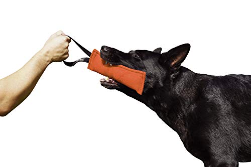Dingo Gear Baumwolle-Nylon Beißwurst für Hundetraining K9 IGP IPO Obiedence Schutzhund Hundesport, mit Einem Griff 7 x 20 cm Orange S00086