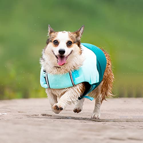 Hundeschwimmweste zum Schwimmen, Hundeschwimmweste mit Sicherheitsgriff, Hundeschwimmwesten für Schwimmbad, Strand, Bootfahren (Größe: L (30 cm), Farbe: Grün)