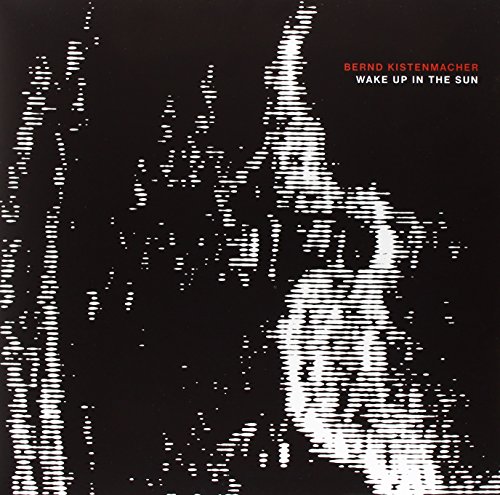 Wake Up in the Sun [Vinyl LP]