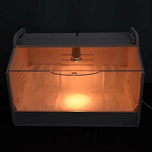 220V Brutinkubator Küken Kükenwärmebox Kükenhaus Vollautomatische mit Thermometer und Wärme Lampe Kükenaufzuchtbox für Geflügel, Reptilien und Kleintiere Brutbox