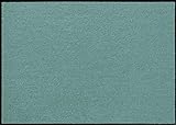 Erwin Müller Fußmatte Mainz, Schmutzfangmatte, Sauberlaufmatte Uni Jade Größe 50x75 cm - rutschfest, pflegeleicht, für Fußbodenheizung geeignet (weitere Farben, Größen)