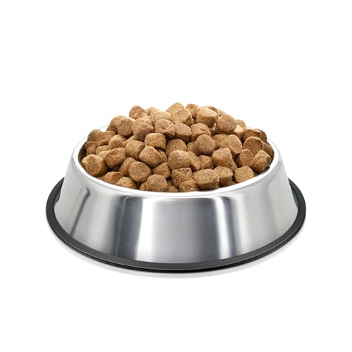 Flexzion Edelstahl-Hundenapf, kein Durcheinander, kein Verschütten, Wassernapf, Gummiunterseite, Hundenäpfe für mittelgroße Hunde, Futter und Wassernapf, Haustierfutterhalter, 22 cm