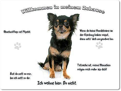 Merchandise for Fans Blechschild/Warnschild/Türschild - Aluminium - 30x40cm - - Willkommen in Meinem Zuhause - Motiv: Chihuahua vor weißem Hintergrund - 07