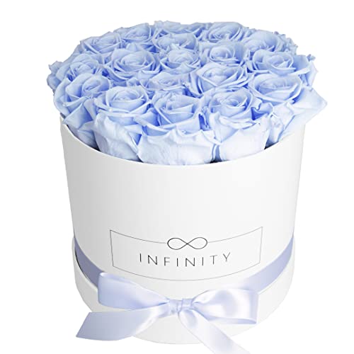 Infinity Flowerbox 3-BW-BB Geschenkartikel, Baby Blue, Large