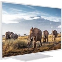 JVC LT-43VF5155W 43 Zoll Fernseher/Smart TV (Full HD, HDR, Triple-Tuner, Bluetooth) - Inkl. 6 Monate HD+ [2023]