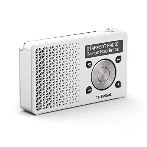 TechniSat Digitradio 1 tragbares DAB Radio mit Akku (DAB+, UKW, FM, Lautsprecher, Kopfhörer-Anschluss, Favoritenspeicher, OLED-Display, klein, 1 Watt RMS) silber