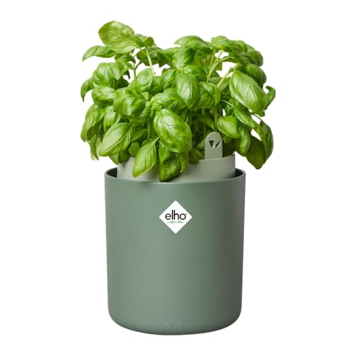 Elho Bouncy Basil 16 - Blumentopf für Züchten Und Ernten - Ø 16.5 x H 21.0 cm - Grün/Laubgrün